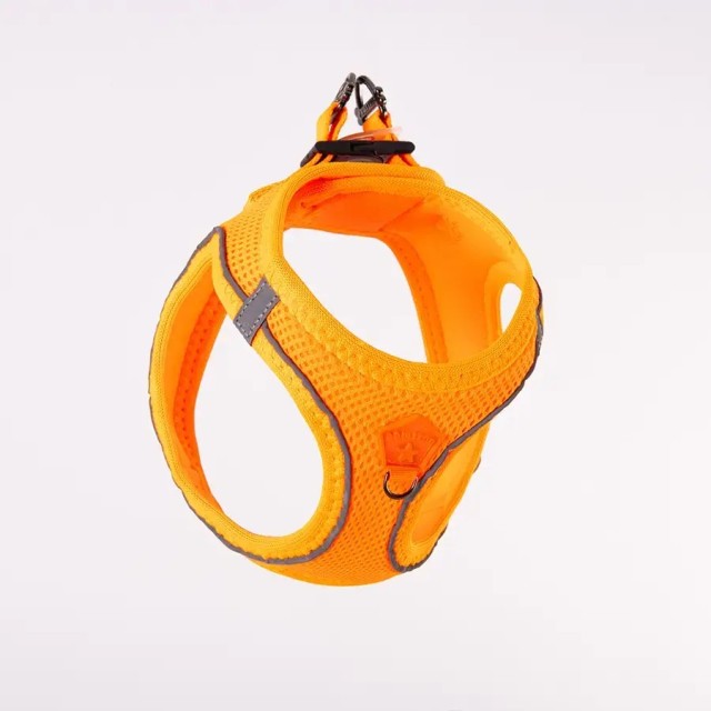 Pawstar Airmesh Köpek Göğüs Tasması S Neon Turuncu