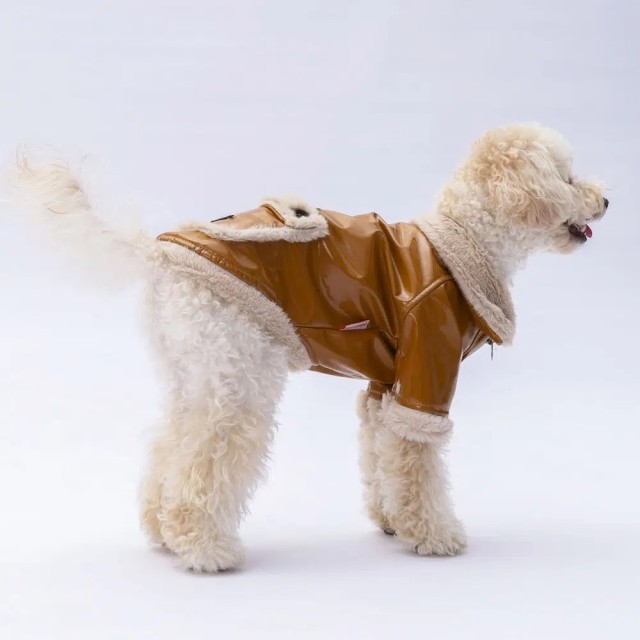 Pawstar Camel Vegas Ceket 2XL 24204