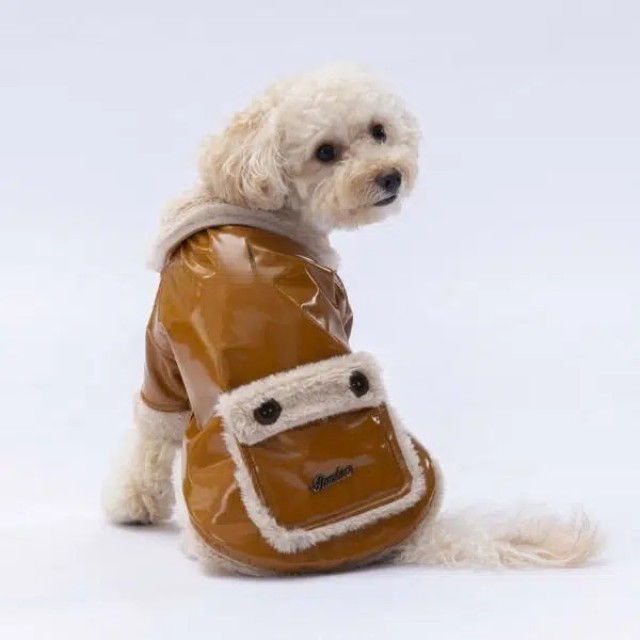 Pawstar Camel Vegas Ceket 2XL 24204