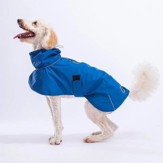 Pawstar colombia yağmurluk mavi 23529 - L