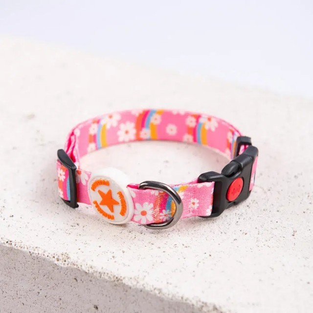 Pawstar Desenli Köpek Boyun Tasması Daisy M 2*32-48 CM