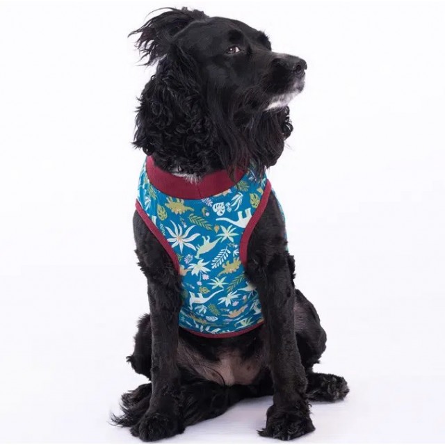 Pawstar Dino Tshirt L 23823