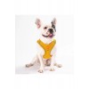 Pawstar Gold Air-mesh Göğüs Tasması