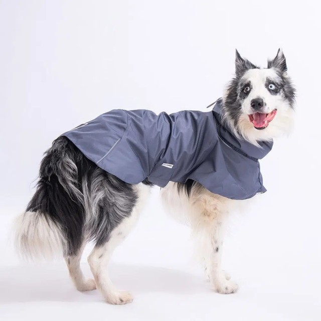 Pawstar Gri Colombia Büyük Irk Köpek Yağmurluğu M 23533