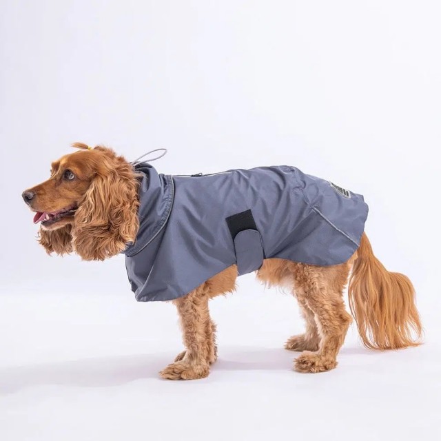 Pawstar Gri Colombia Büyük Irk Köpek Yağmurluğu M 23533