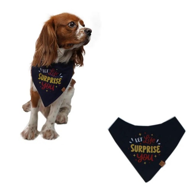 Pawstar Köpek Bandana Fular Lacivert Surprise No:2