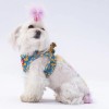 Pawstar Köpek Göğüs Tasması Ducks Desenli XS
