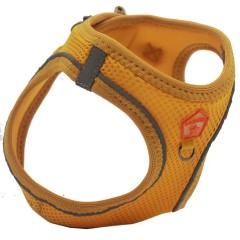 Pawstar Köpek Göğüs Tasması Gold Sarı S
