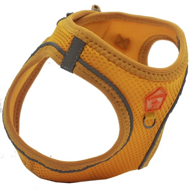Pawstar Köpek Göğüs Tasması Gold Sarı S