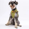 Pawstar Köpek Göğüs Tasması Kaktüs Desenli M