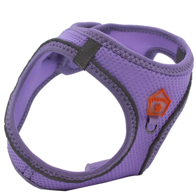 Pawstar Köpek Göğüs Tasması Lila L
