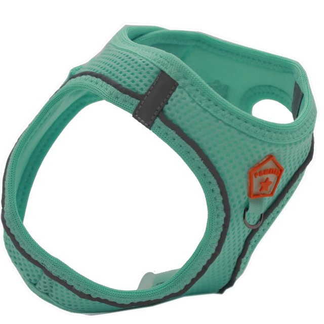 Pawstar Köpek Göğüs Tasması Mint S