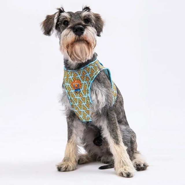 Pawstar Köpek Göğüs Tasması Pizza Desenli XS