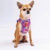 Pawstar Köpek Göğüs Tasması Rose Camuflage Desenli S