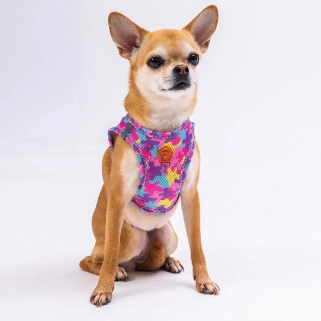 Pawstar Köpek Göğüs Tasması Rose Camuflage Desenli S