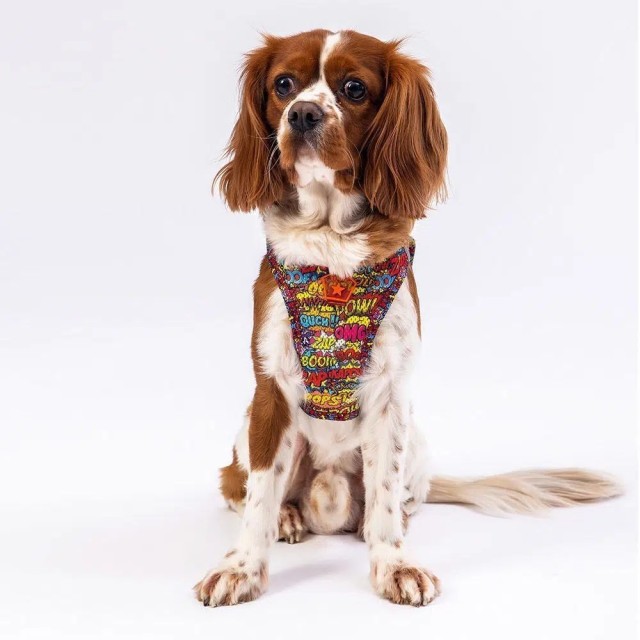 Pawstar Köpek Göğüs Tasması Wow Desenli M