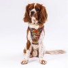 Pawstar Köpek Göğüs Tasması Wow Desenli S