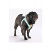 Pawstar Mint Air-mesh Göğüs Tasması M