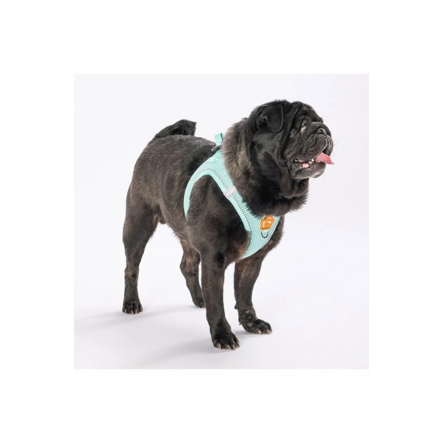 Pawstar Mint Air-mesh Göğüs Tasması M