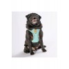Pawstar Mint Air-mesh Göğüs Tasması M