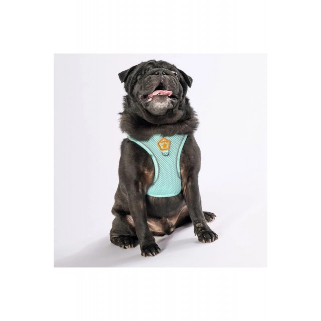 Pawstar Mint Air-mesh Göğüs Tasması M