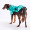 Pawstar Mint Colombia Büyük Irk Köpek Yağmurluğu M 23528
