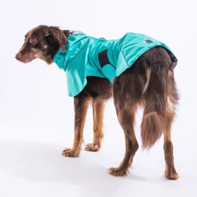 Pawstar Mint Colombia Büyük Irk Köpek Yağmurluğu M 23528