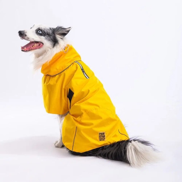 Pawstar Sarı Colombia Büyük Irk Köpek Yağmurluğu M 23532