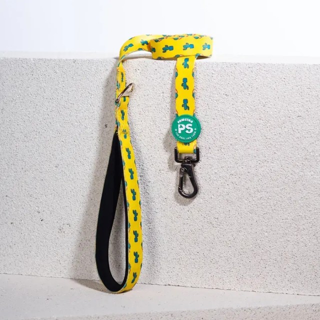 Pawstar Sevk Kayışı Cactüs Desen 2*120 Cm