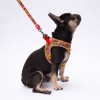 Pawstar Wow Desenli Şerit Köpek Gezdirme Sevk Kayışı 2*120 Cm