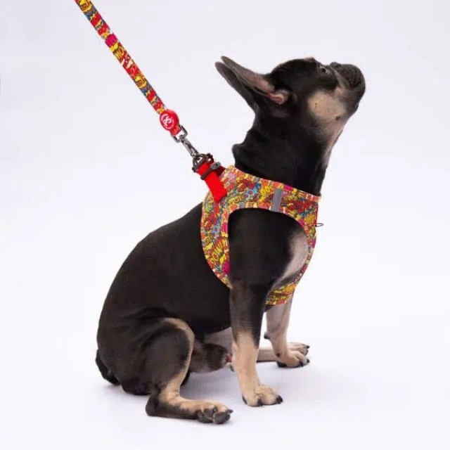 Pawstar Wow Desenli Şerit Köpek Gezdirme Sevk Kayışı 2*120 Cm