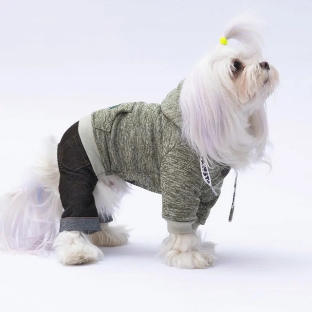 Pawstar Yeşil New York Köpek Tulumu XL 24915