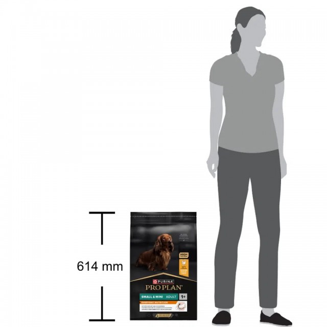 Pro Plan Everyday Nutrition Small Mini Adult Tavuklu Küçük Irk Yetişkin Köpek Maması 7 Kg