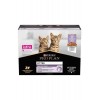 Pro Plan Pouch Sos İçinde Hindili Yavru Kedi Konservesi 85gr 10lu