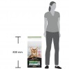 Pro Plan Sterilised Somonlu Kısırlaştırılmış Kedi Maması 14 Kg