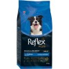 Reflex Plus Somonlu Orta ve Büyük Irk Yetişkin Köpek Maması 12 Kg