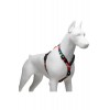 Lindo Reindeer H Tipi Göğüs Tasması S