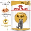 Royal Canin British Shorthair Adult Gravy Pounch Kedi Yaş Maması 85 Gr