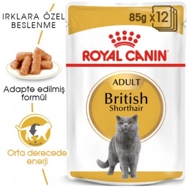 Royal Canin British Shorthair Adult Gravy Pounch Kedi Yaş Maması 85 Gr