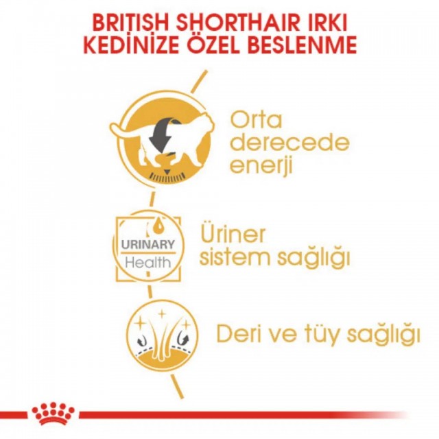 Royal Canin British Shorthair Adult Gravy Pounch Kedi Yaş Maması 85 Gr
