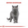 Royal Canin British Shorthair Adult Gravy Pounch Kedi Yaş Maması 85 Gr