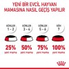 Royal Canin British Shorthair Adult Gravy Pounch Kedi Yaş Maması 85 Gr