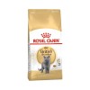 Royal Canin British Shorthair Adult Yetişkin Kedi Maması 10 kg