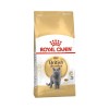 Royal Canin British Shorthair Adult Yetişkin Kedi Maması 10 kg
