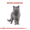 Royal Canin British Shorthair Adult Yetişkin Kedi Maması 10kg