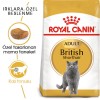 Royal Canin British Shorthair Adult Yetişkin Kedi Maması 10kg