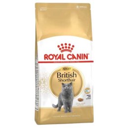 Royal Canin British Shorthair Adult Yetişkin Kedi Maması 2kg