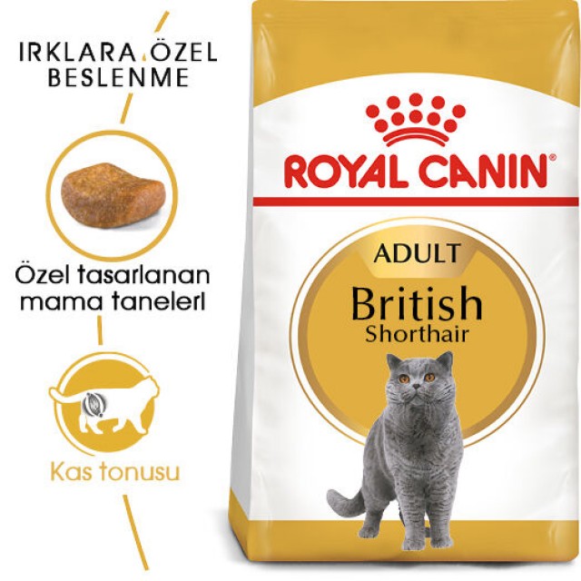 Royal Canin British Shorthair Adult Yetişkin Kedi Maması 2kg