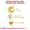Royal Canin British Shorthair Adult Yetişkin Kedi Maması 2kg