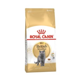 Royal Canin British Shorthair Adult Yetişkin Kedi Maması 4 kg